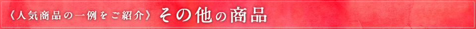 《人気商品の一例をご紹介》その他の商品