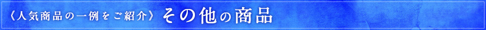 《人気商品の一例をご紹介》その他の商品