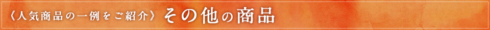 《人気商品の一例をご紹介》その他の商品