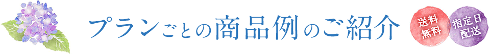 プランごとの商品例のご紹介