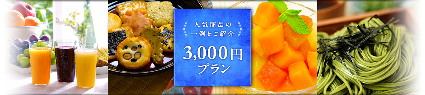 《人気商品の一例をご紹介》3,000円プラン